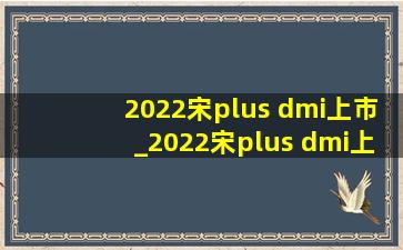 2022宋plus dmi上市_2022宋plus dmi上市时间